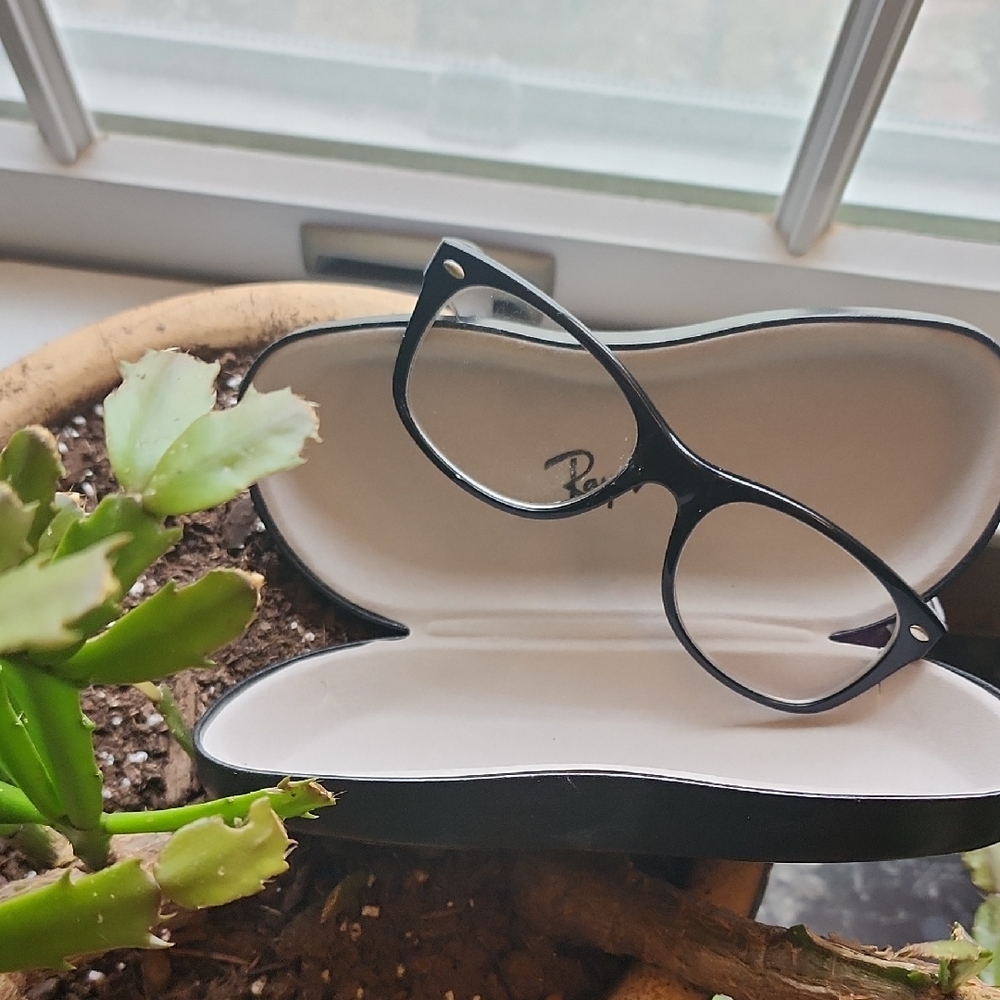 Unisex Ray-Ban New Wayfarer Black Glasses with Case